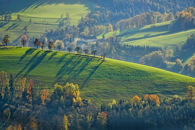 Irish vineyard landscape with rolling green hills at dusk in County Waterford