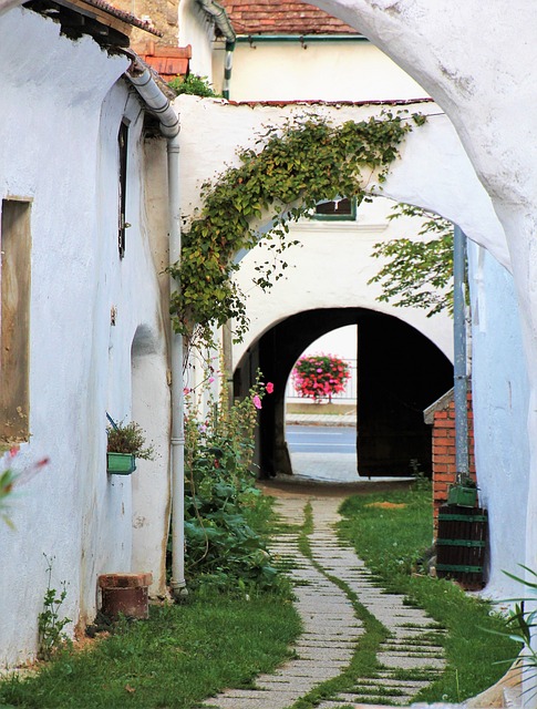 Siobhán Callanan co-founder and winemaker at Moravexi tasting wine in the cellar
